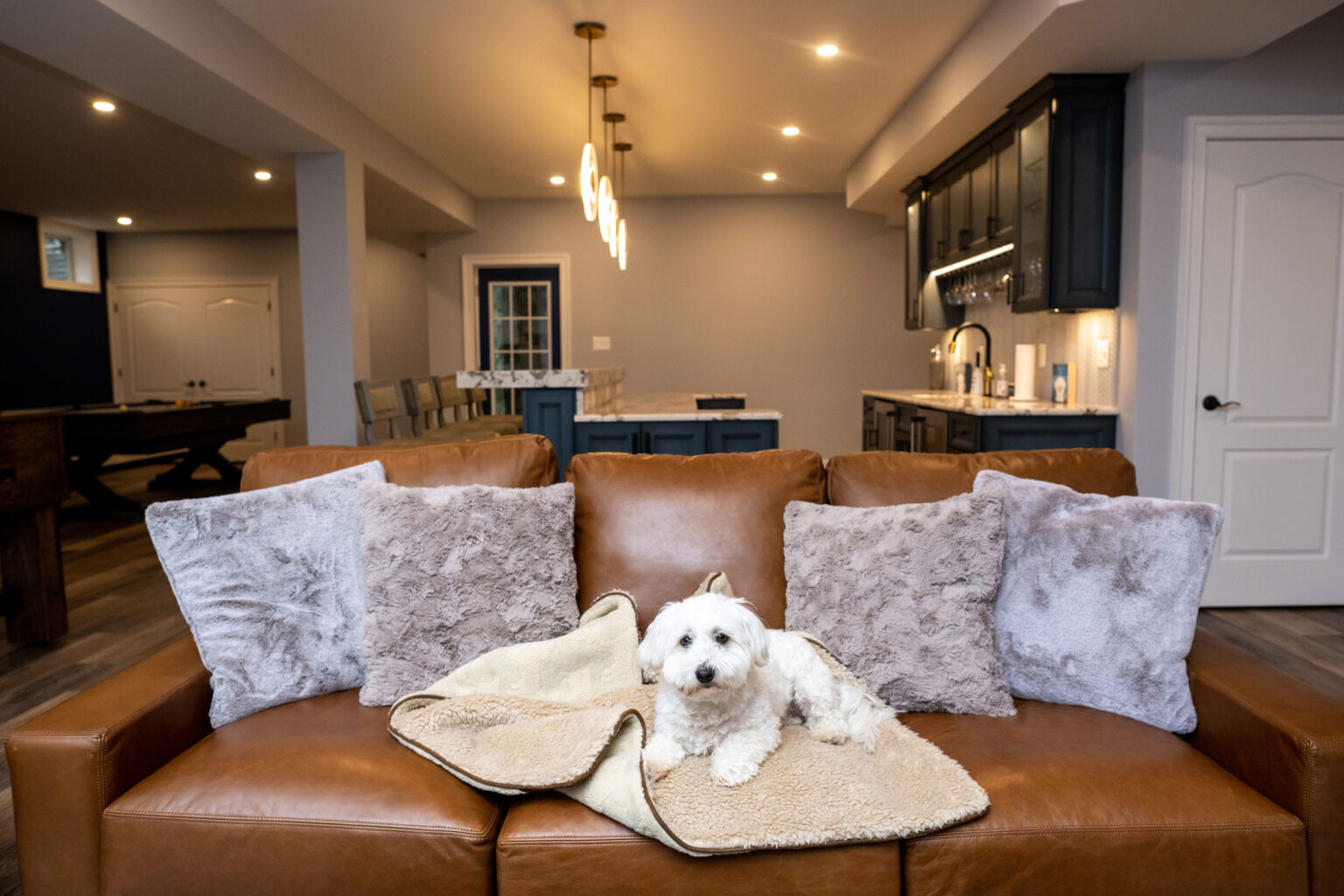 Pickle is a Maltese and the couch in this finished basement is his territory.