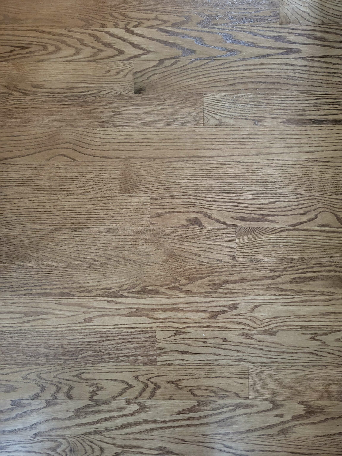 Light brown hardwood floor with a natural grain pattern and some visible scratches and marks.