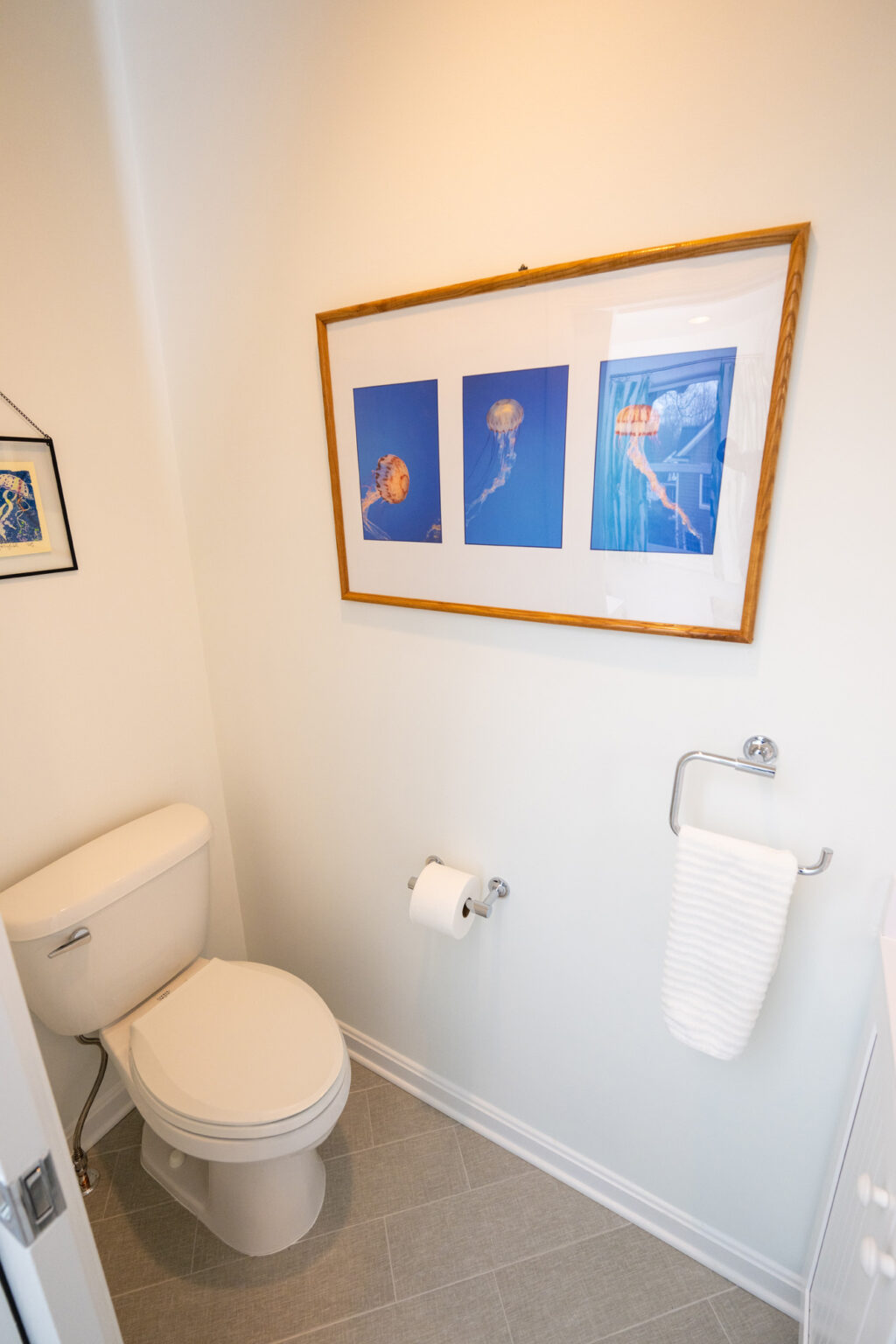 Image by Lesnick Photo Small bathroom with a white toilet, toilet paper holder, and framed pictures of jellyfish on a white wall.