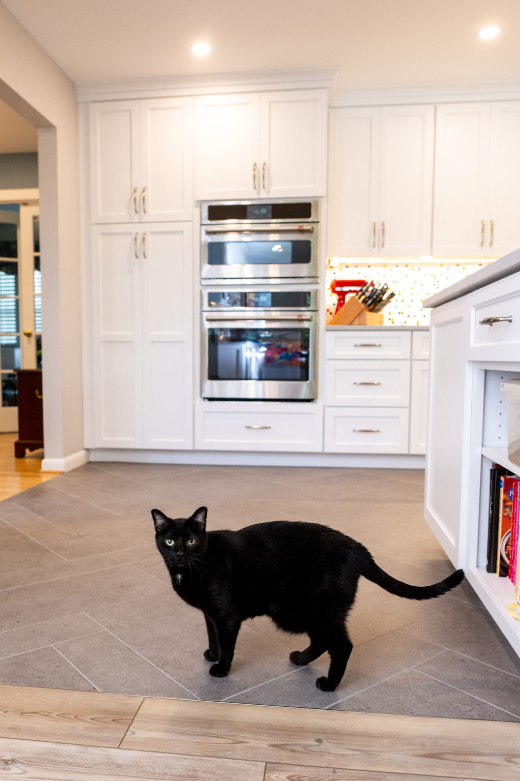 Image by Lesnick Photo A black cat stands on a tiled kitchen floor in front of a white cabinet with built-in double ovens and a countertop with a knife block and books.