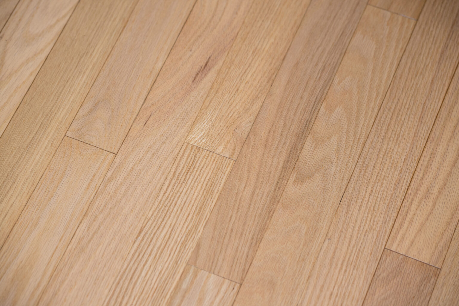 A close-up view of a light-colored hardwood floor with natural grain patterns.