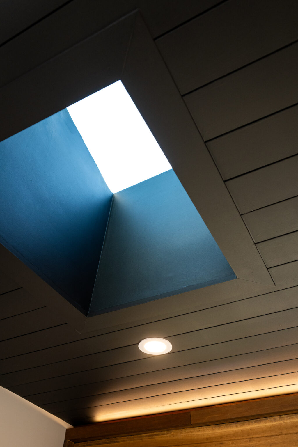 A rectangular skylight in a dark-paneled ceiling lets in natural light above a recessed ceiling light.