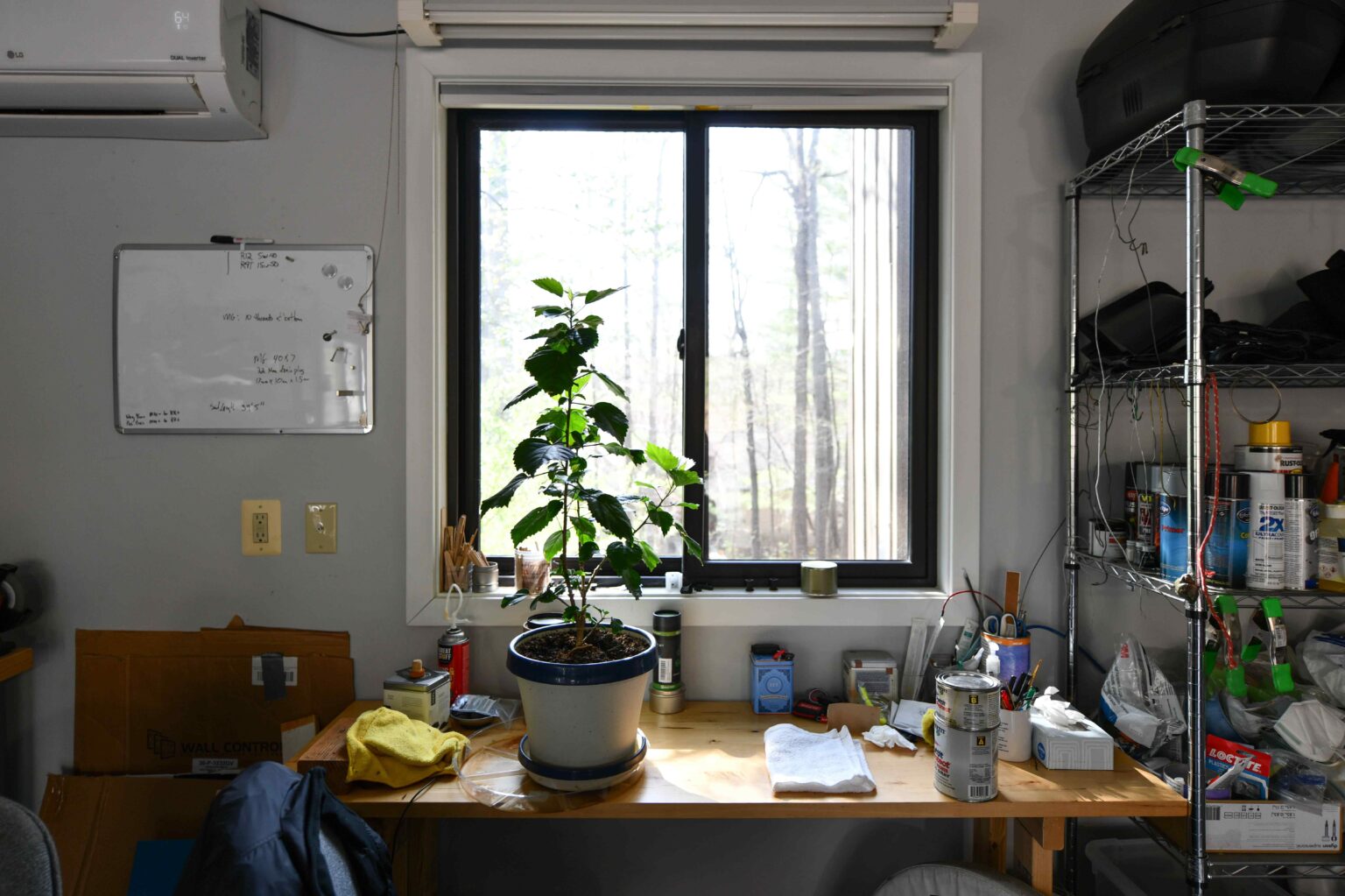 A potted plant sits on a wooden desk in front of a window, surrounded by various tools, cans, and supplies; shelves and a whiteboard are visible nearby.