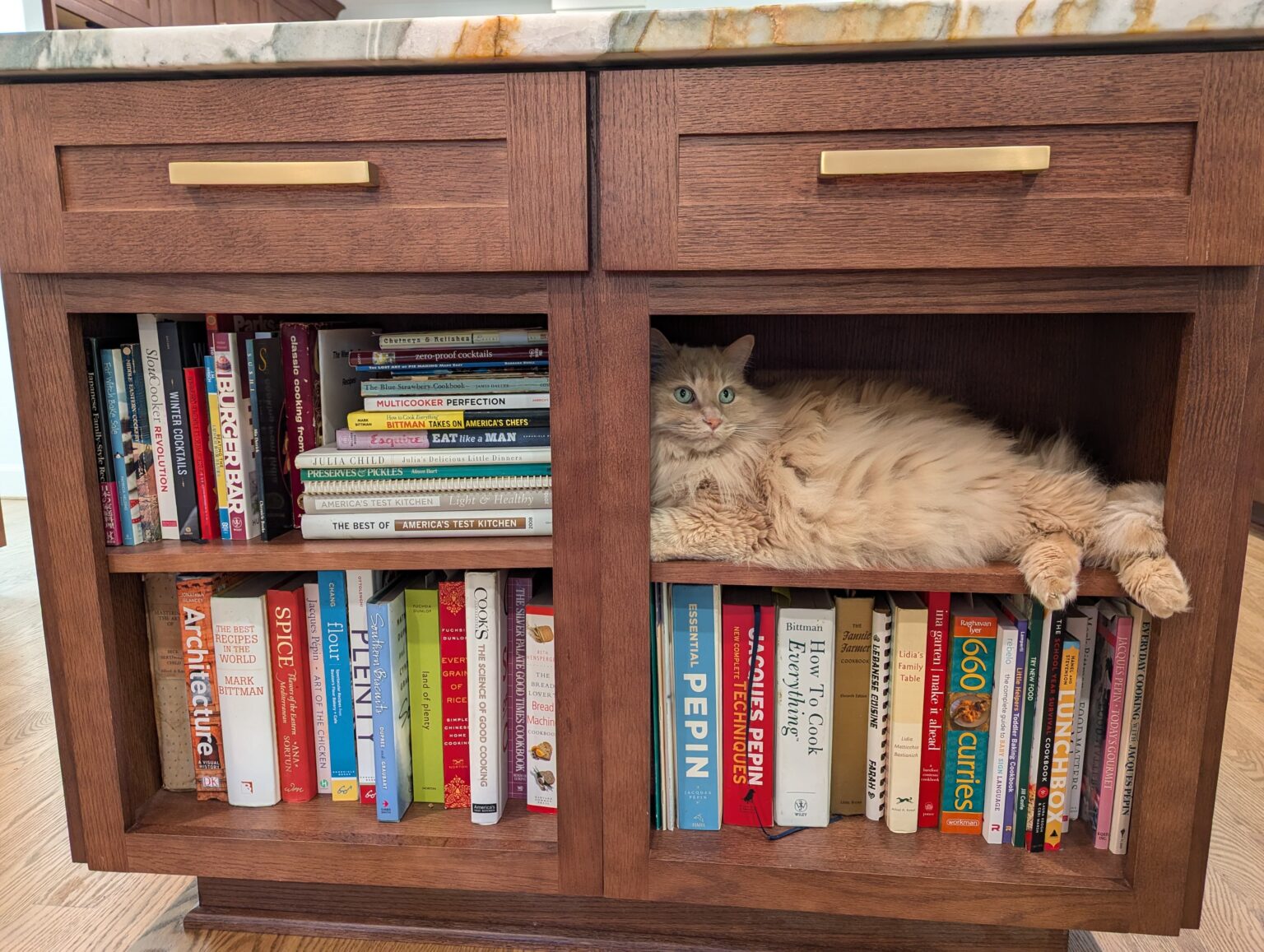 A fluffy orange cat lies stretched out on a lower bookshelf next to a row of cookbooks in a wooden kitchen cabinet.