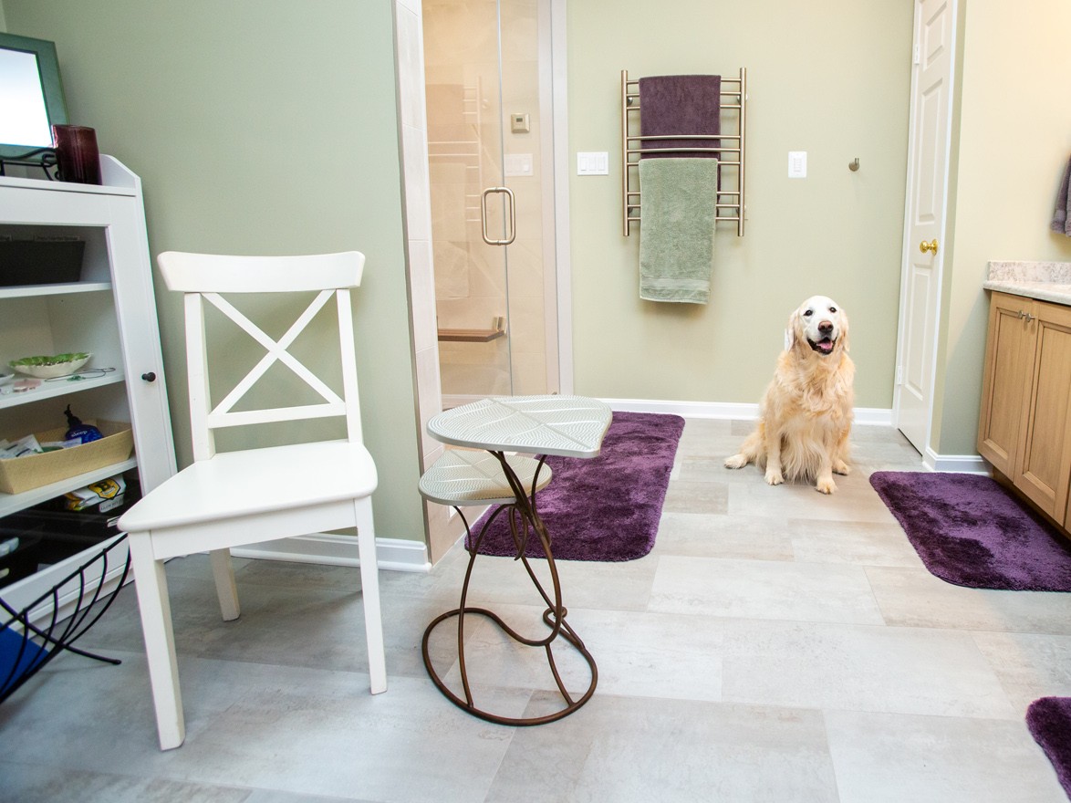 A golden retriever sits on the floor of a bathroom with purple rugs, a small table, a white chair, towel racks, and an open cabinet.