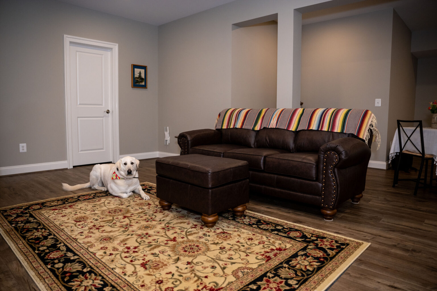 A yellow labrador dog lies on a patterned rug in a living room with a brown couch, ottoman, and striped blanket.
